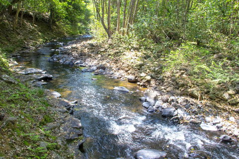 Tallaringa Views - Accommodation Ballina 0