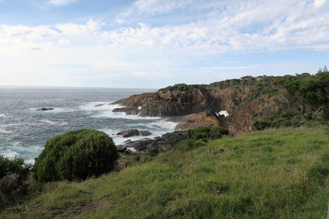 Tathra Hotel & Motel - Accommodation Ballina 1