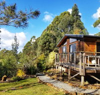 Southern Forest Accommodation - Accommodation Ballina