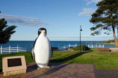 Penguin Beach House - Accommodation Ballina 16