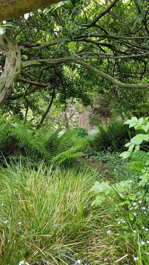 Whispering Hills Retreat - Accommodation Ballina 15