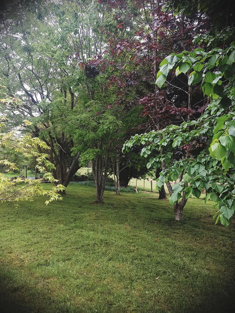 Whispering Hills Retreat - Accommodation Ballina 14