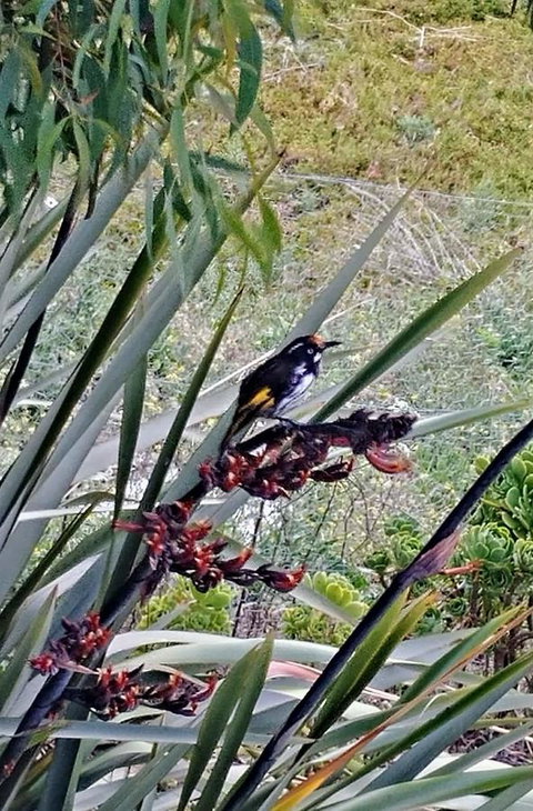 The View 2 Bed Unit With Stunning Hobart Outlook - Accommodation Ballina 22