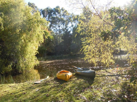 Whispering Spirit Holiday Cottages & Mini Ponies - Accommodation Ballina 6