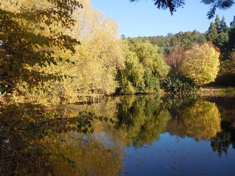 Whispering Spirit Holiday Cottages & Mini Ponies - Accommodation Ballina 7