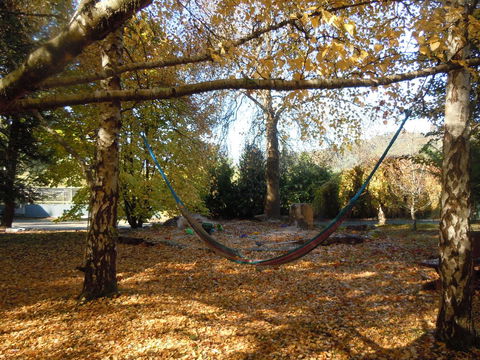 Whispering Spirit Holiday Cottages & Mini Ponies - Accommodation Ballina 5