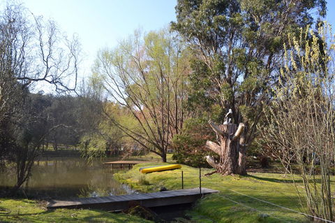 Whispering Spirit Holiday Cottages & Mini Ponies - Accommodation Ballina 12