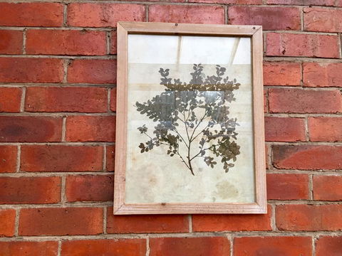 Cygnet Old Bank - Accommodation Ballina 44