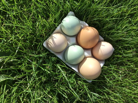 Nextdoor@portarthur - Accommodation Ballina 15