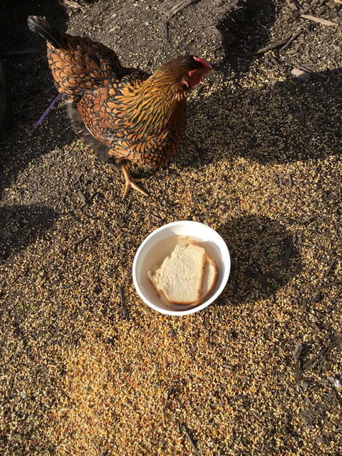 Nextdoor@portarthur - Accommodation Ballina 16