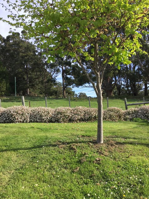 Nextdoor@portarthur - Accommodation Ballina 17