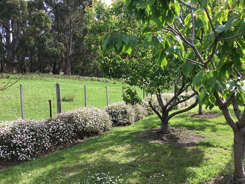 Nextdoor@portarthur - Accommodation Ballina 18