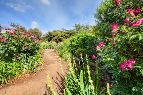 Wagners Cottages - Accommodation Ballina 30