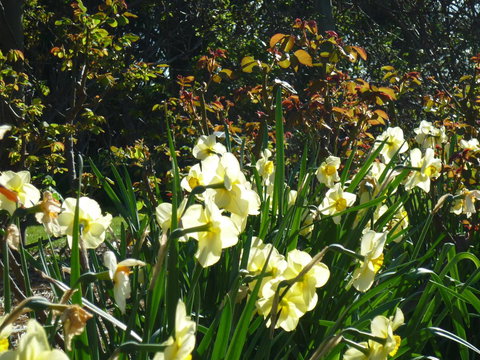 Wagners Cottages - Accommodation Ballina 13