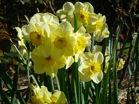 Wagners Cottages - Accommodation Ballina 14