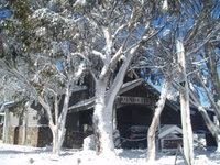 Book Dinner Plain Accommodation Vacations Accommodation Ballina Accommodation Ballina