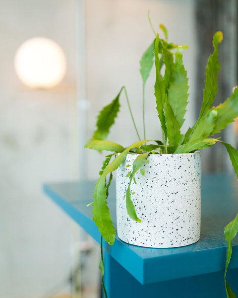 Sage Melbourne Ringwood - Accommodation Ballina 36