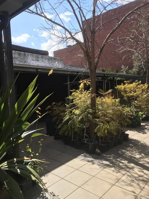 CROWN CENTRAL BUSINESS DISTRICT MOTEL - NO UNDER 18s - Accommodation Ballina 15