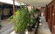 CROWN CENTRAL BUSINESS DISTRICT MOTEL - NO UNDER 18s - thumb 6