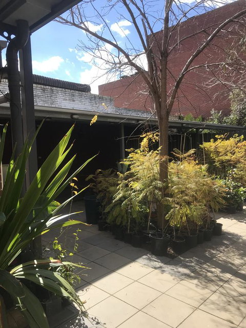 CROWN CENTRAL BUSINESS DISTRICT MOTEL - NO UNDER 18s - Accommodation Ballina 21
