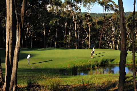 RACV Goldfields Resort - Accommodation Ballina 12