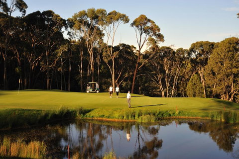 RACV Goldfields Resort - Accommodation Ballina 31