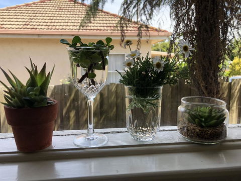 Growse House Yarram 3BR - Accommodation Ballina 10