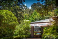 Book Eltham Accommodation Vacations Accommodation Ballina Accommodation Ballina