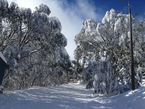 Maisonettes Falls Creek - Accommodation Ballina 17