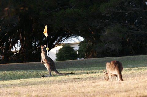 Lakeside At Mallacoota - Accommodation Ballina 37