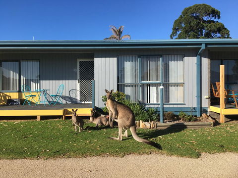 Lakeside At Mallacoota - Accommodation Ballina 15