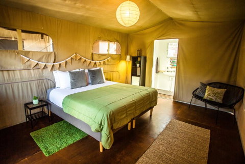 The Beachcamp Eco Retreat - Accommodation Ballina 2