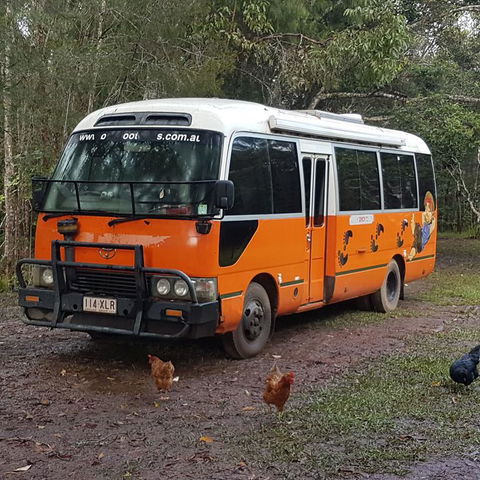 The Cabin - Accommodation Ballina 3