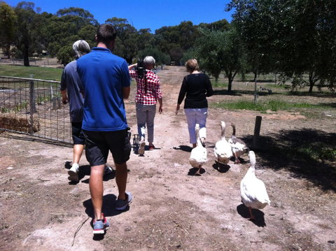 The Farm Willunga - Accommodation Ballina 1