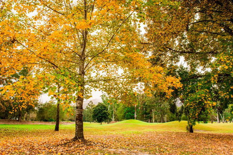 The Retreat At Wisemans - Accommodation Ballina 1