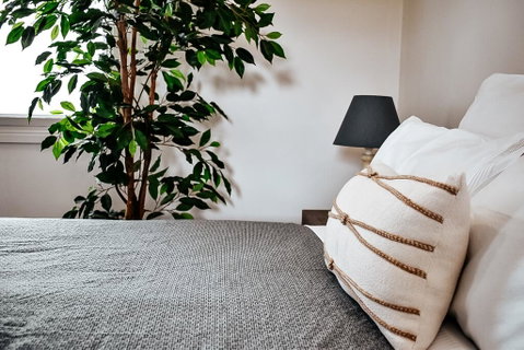 The Spa Cottage - Accommodation Ballina 1