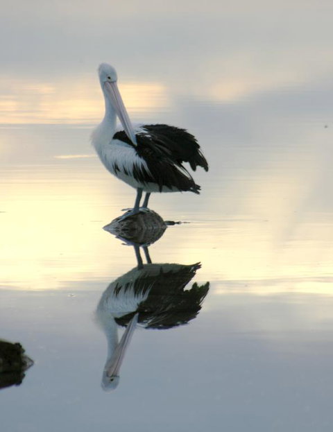 Wanderers Rest Of Kangaroo Island - Accommodation Ballina 3