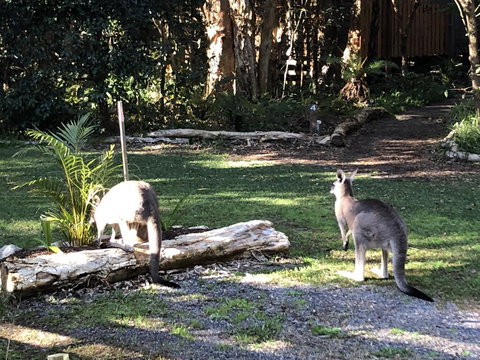 Wanderers Retreat - Accommodation Ballina 3