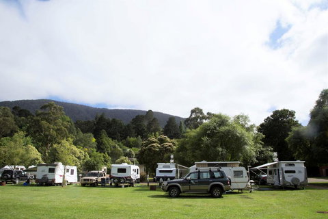 Warburton Holiday Park - Accommodation Ballina 0
