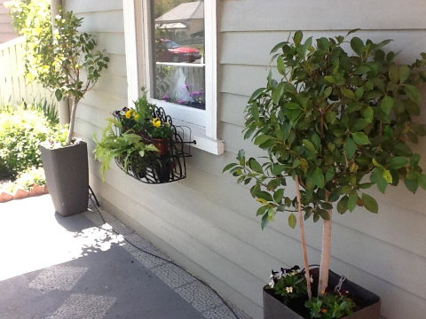 Redruth Cottage - Accommodation Ballina 19