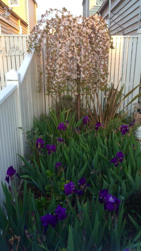 Redruth Cottage - Accommodation Ballina 24