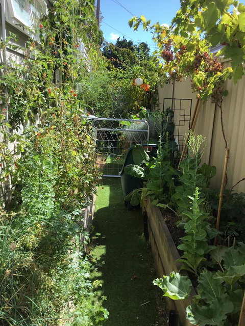 Redruth Cottage - Accommodation Ballina 7