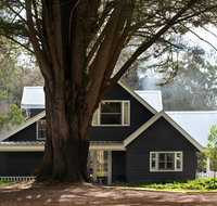 The Orchard - Accommodation Ballina