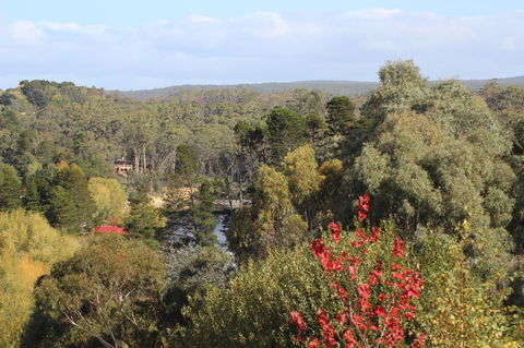 The Orchard - Accommodation Ballina 28