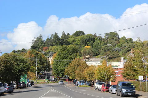 The Orchard - Accommodation Ballina 29