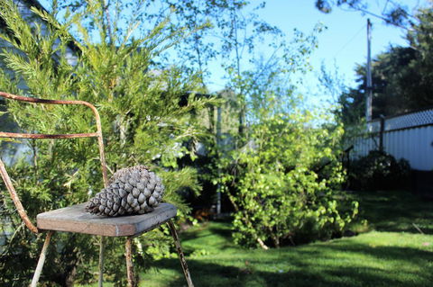 Cottage 4A - Accommodation Ballina 13