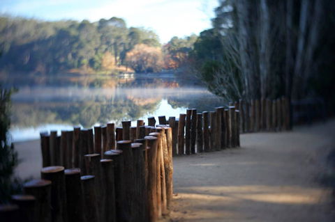 Minni Gums - Accommodation Ballina 4