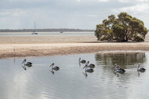 BIG4 Breeze Holiday Parks - Rainbow Beach - Accommodation Ballina 32