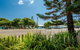 Plantation Resort At Rainbow - thumb 9