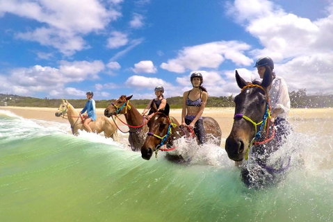 Salty Vibes Retreat - Accommodation Ballina 6